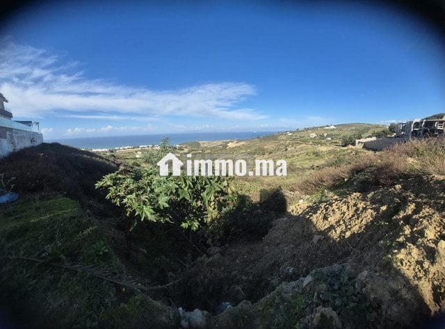 Terrain deux Hectares a Malabata Tanger - Vente Immobilier - Tanger - photo 1