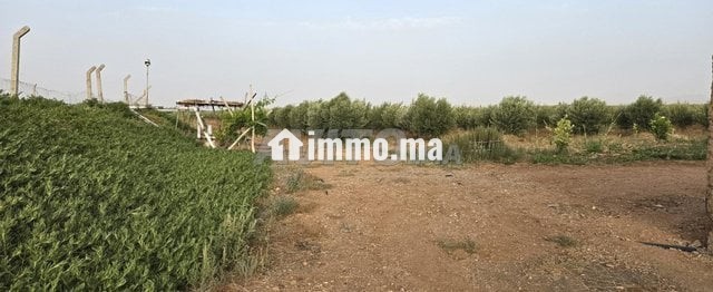 Ferme près de marrakech - Vente Immobilier - Marrakech - photo 2