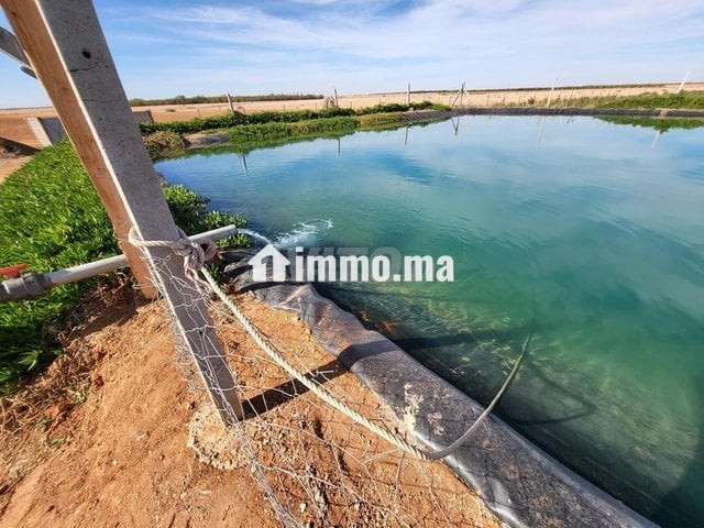Ferme près de marrakech - Vente Immobilier - Marrakech - photo 3