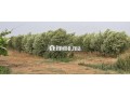 ferme-pres-de-marrakech-small-0