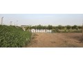 ferme-pres-de-marrakech-small-1