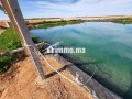 ferme-pres-de-marrakech-small-2