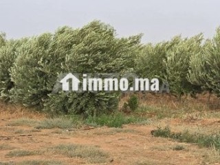ferme-pres-de-marrakech