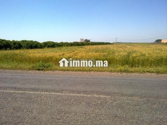 2 hectare a route de sidi rahal - Vente Immobilier - Marrakech - photo 1