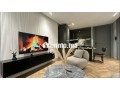 studio-elegant-dans-un-quartier-chic-small-5