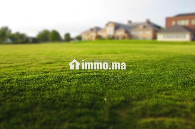 Vente lot terrain R PLUS 3 à Jnane3 Birami Kénitra - Vente Immobilier - Kenitra - photo 1