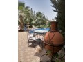 belle-villa-avec-piscine-en-pleine-nature-small-10