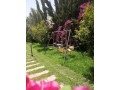 belle-villa-avec-piscine-en-pleine-nature-small-4