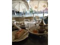 cafe-boulangerie-et-patisserie-small-4
