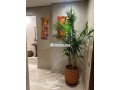 appartement-avec-piscine-pour-sous-location-small-7