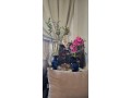 evasion-a-cabo-negro-appartement-lumineux-avec-jardin-privatif-dans-une-residence-de-reve-small-16