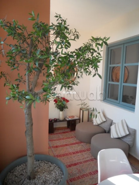 À louer – Superbe appartement 2 chambres à l’Hivernage coté sofitel, Marrakech - Location Immobilier - Marrakech - photo 4