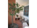 a-louer-superbe-appartement-2-chambres-a-lhivernage-cote-sofitel-marrakech-small-3