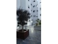 excellents-appartements-a-louer-small-11