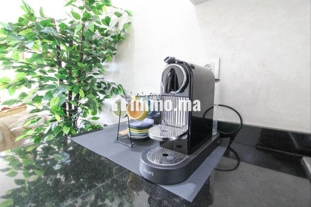 location-studio-meuble-moderne-neuf-a-riviera-big-5