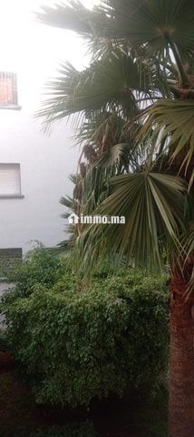 APPT 1E RÉSIDENCE FERMÉE - Location Immobilier - Casablanca - photo 1