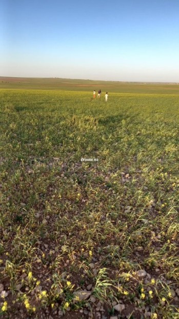 Terrain 101 Ha a 45 km de Settat et 7km d'imfout - Vente Immobilier - Autre - photo 1