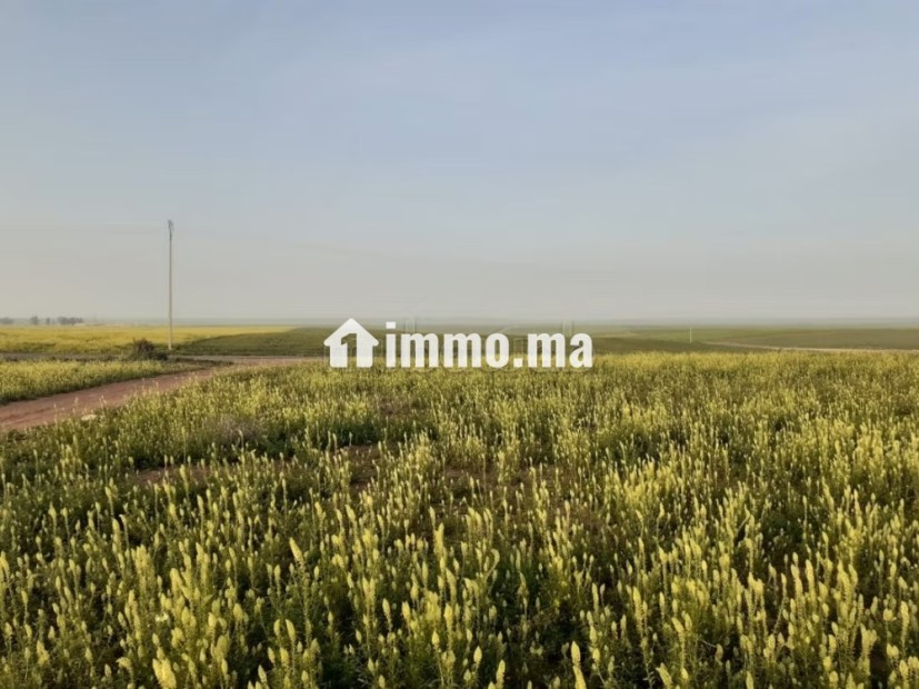 Terrain 101 Ha a 45 km de Settat et 7km d'imfout - Vente Immobilier - Autre - photo 2