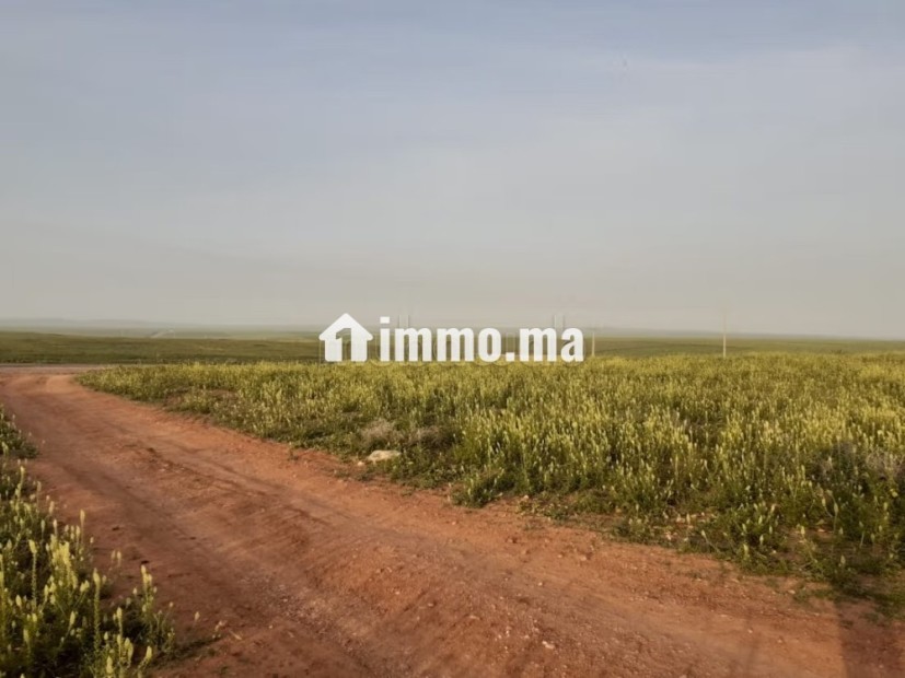 Terrain 101 Ha a 45 km de Settat et 7km d'imfout - Vente Immobilier - Autre - photo 5