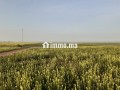 terrain-101-ha-a-45-km-de-settat-et-7km-dimfout-small-1