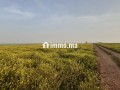 terrain-101-ha-a-45-km-de-settat-et-7km-dimfout-small-3