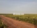 terrain-101-ha-a-45-km-de-settat-et-7km-dimfout-small-4