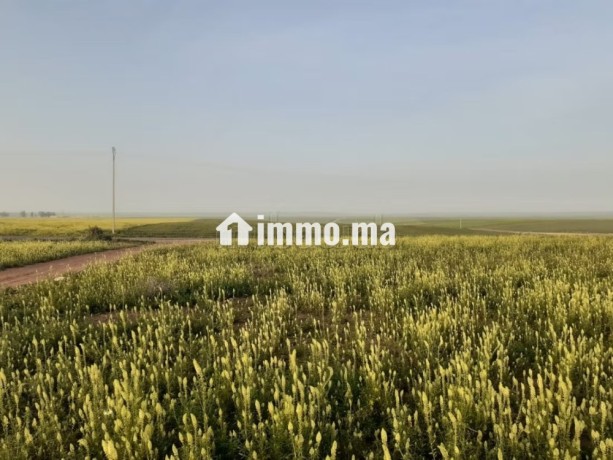 terrain-101-ha-a-45-km-de-settat-et-7km-dimfout-big-1