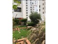bel-appartement-vide-small-12