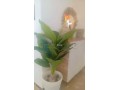 location-saisonniere-a-bab-sbaa-2-pieces-piscine-et-air-conditionne-small-14