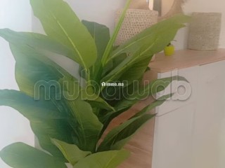 Location saisonnière à Bab Sbaa. 2 pièces. Piscine et air conditionné - Appartement à vendre - Essaouira