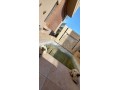 belle-villa-a-vendre-small-3