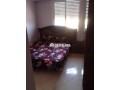 shk-rayaa-llkraaa-mshmsh-small-1