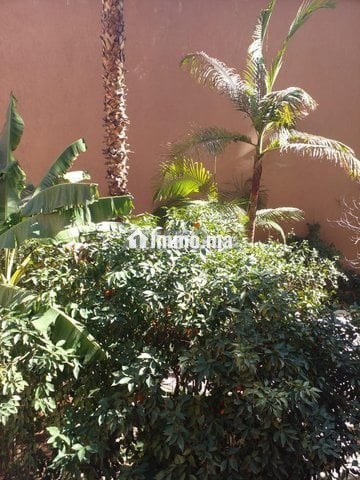 Appartement à louer à Marrakech - Location Immobilier - Marrakech - photo 8