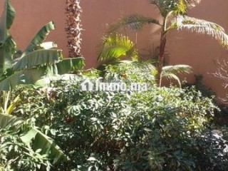 Appartement à louer à Marrakech - Appartement à louer - Marrakech