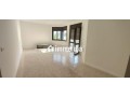 un-magnifique-appartement-a-la-place-pietri-small-0