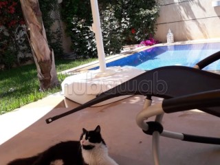 Villa haut standing 429 m² – Jardins Badiaa - Villa à vendre - Fes