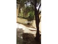 belle-villa-a-ventre-a-fes-small-3