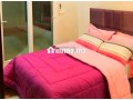 appartement-bien-meuble-et-equipe-small-2