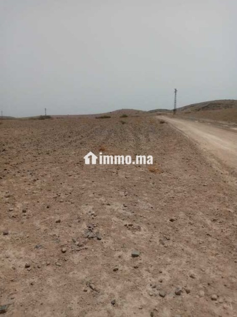 أراضي فلاحية للبيع - Vente Immobilier - Marrakech - photo 1