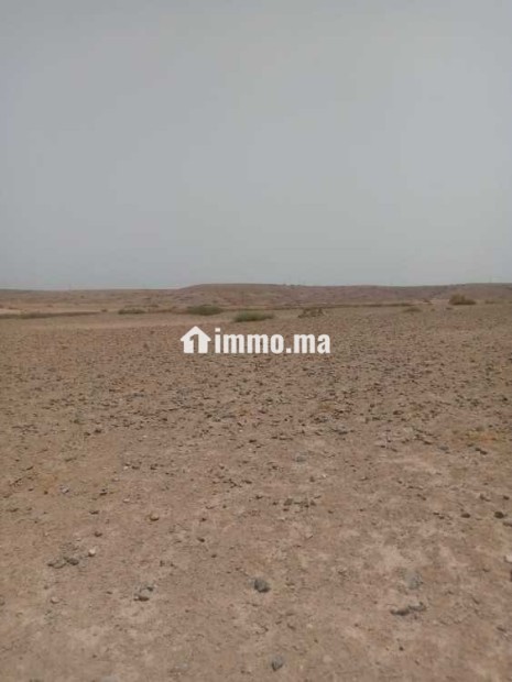 أراضي فلاحية للبيع - Vente Immobilier - Marrakech - photo 2