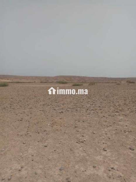 أراضي فلاحية للبيع - Vente Immobilier - Marrakech - photo 3