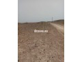 arady-flahy-llbyaa-small-0