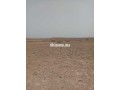 arady-flahy-llbyaa-small-1