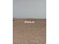 arady-flahy-llbyaa-small-2