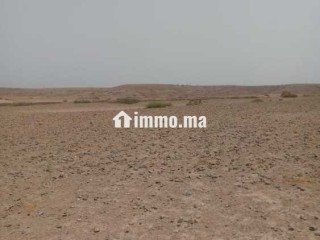 أراضي فلاحية للبيع - Terrain à vendre - Marrakech