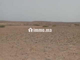 أراضي فلاحية للبيع - Terrain à vendre - Marrakech