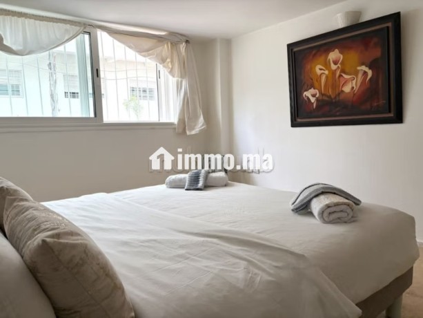 appartement-duplex-chic-meuble-a-louer-par-jour-big-0