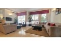 top-appartement-vide-avec-terrasse-small-1