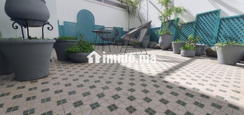 top-appartement-vide-avec-terrasse-big-4