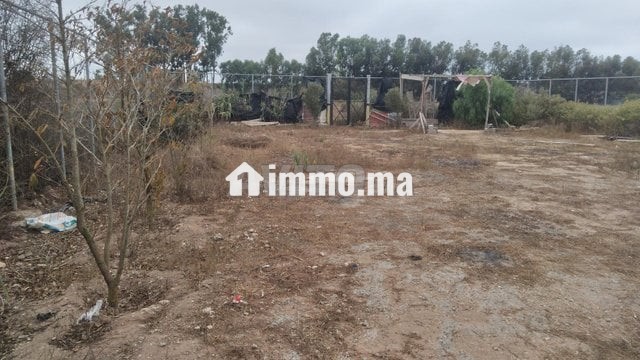 Sidi rahal - Vente Immobilier - Casablanca - photo 4